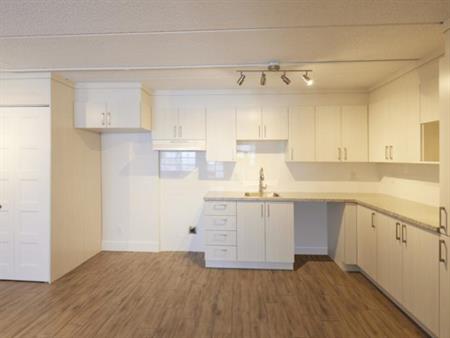 4 1/2 - Deux-Montagnes - 1 485 $/mois