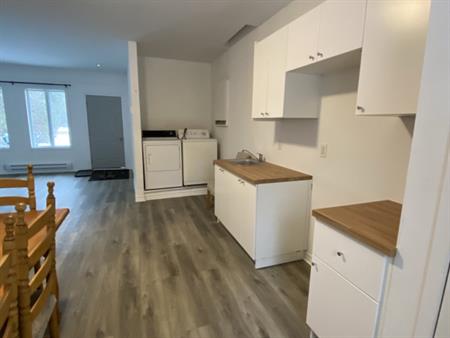 4 1/2 - Rénové Récemment