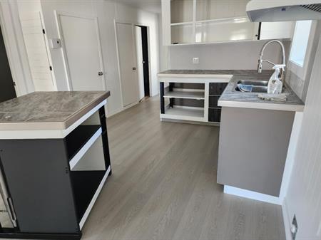 4 1/2 Fraichement Rénové