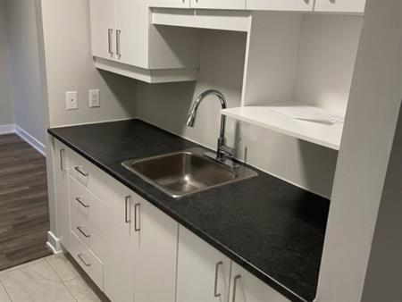 PREMIER MOIS GRATUIT! Appartement 2 Cha