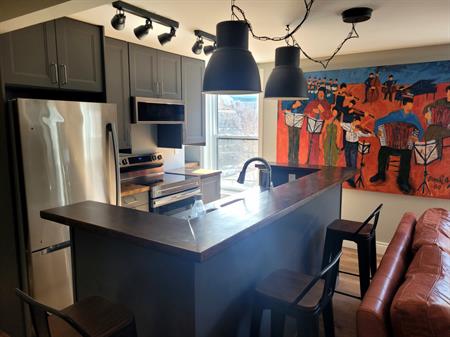 Superbe Condo-loft à Aire Ouverte 3 1/2