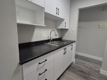 PREMIER MOIS GRATUIT! Appartement 2 Cha