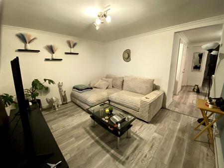 Grand 3 ½ à louer – Disponible 1er juillet 2026 - St-Sauveur, Québec