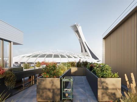 NOUVEAUX 3 1/2 TOUT INCLUS À LOUER DANS HOCHELAGA (Canoë)