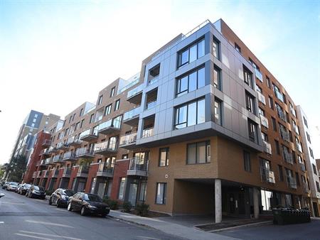 Appartement Ville-Marie (Centre-Ville, Vieux-Montréal) À Louer