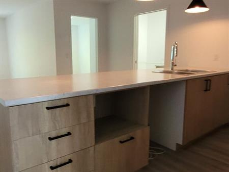 303-1162 Rue Papineau