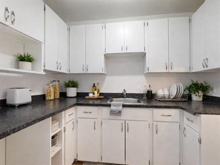 5 ½ LIBRE IMMÉDIATEMENT