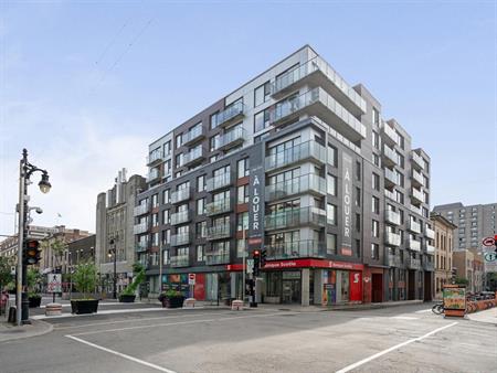 1 Bedroom - 1325 Rue St-Andre, Montréal