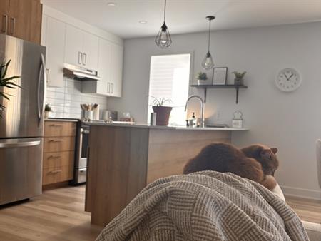 Beau Grand 4 1/2 à Louer