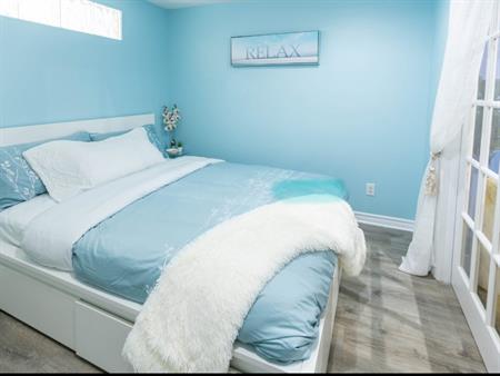 Magnifique Appartement 1 Chambre Plateau