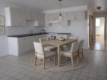 LACHINE CHARMANT 4 1/2 STATIONNEMENT