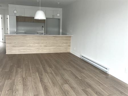 Immeuble - 1164 Lamarche Grand 5 1/2 Neuf à Louer