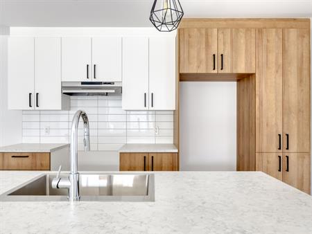 Nouveau Projet! 4 1/2 à Louer Neuf!