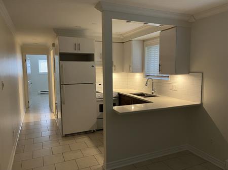 3 1/2 Rénové Avec électroménagers