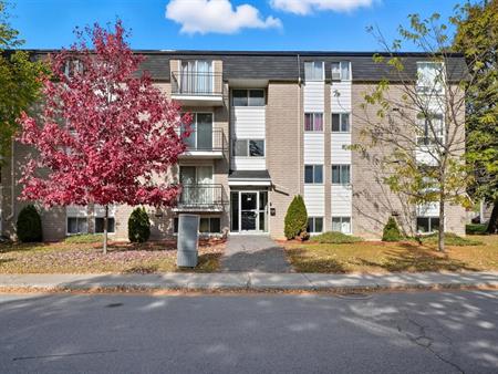 42 Rue D'Orléans (Gatineau) Confortables 4 ½ à Louer – Emplacement Idéal Et Services Inclus