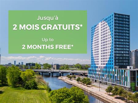 Bachelor - 997 De La Commune W. St, Montréal