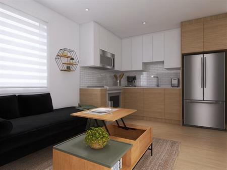 BEAU 4.5 DISPONIBLE DÈS JANVIER!