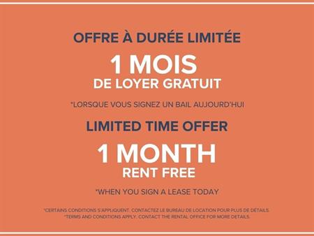 1 Bedroom Available At 65 East Sherbrooke Street, Montreal - 65 East Sherbrooke Street, Montréal