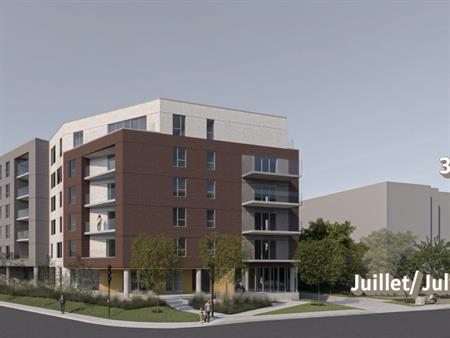 1 Chambre à Louer Juillet 2026