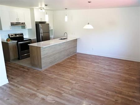 4 1/2 À LOUER - JOLIETTE - APPARTEMENT À LOUER