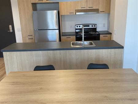 APPARTEMENT MEUBLÉ 3 1/2