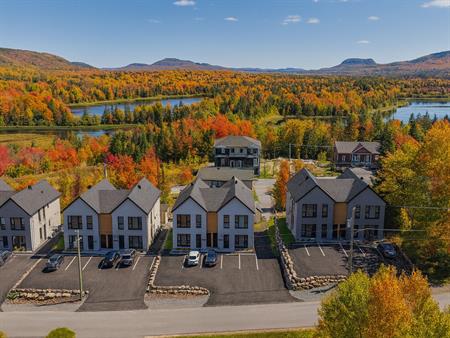 Logement De Luxe 4 1/2 à Saint-Donat
