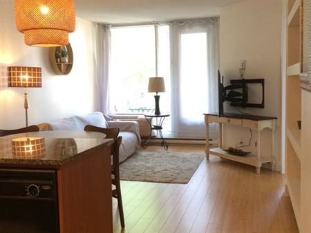 Condo 3 1/2 Meublé,éclairé à Louer