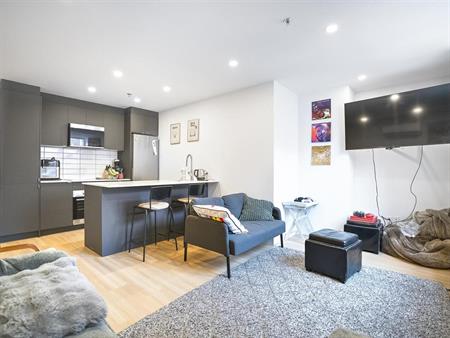 1 Bedroom - 1402 Rue Drummond, Montréal