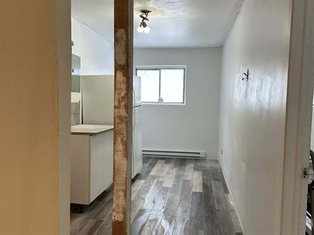 3 1/2 Tout Inclus Rénové Place Vertu