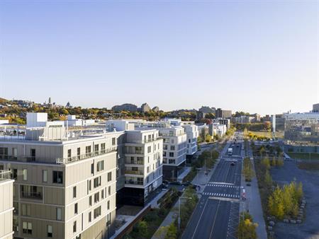Studio - 1250 Avenue Thérèse-Lavoie-Roux, Outremont