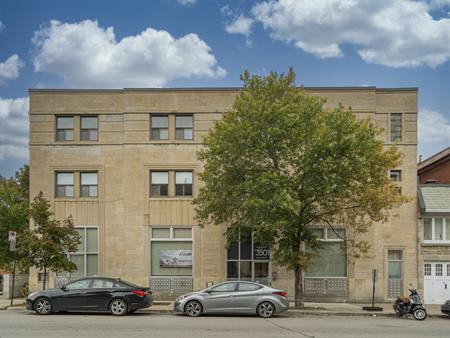 Tres Beau 3 1/2 Semni Meuble