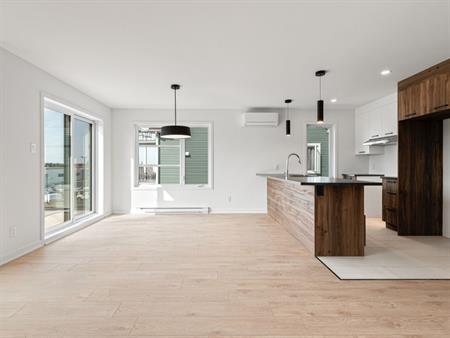 4 1/2 Dans Un Triplex Neuf