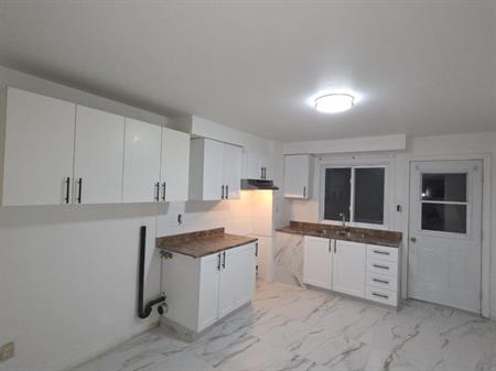 Grand 41/2 Entièrement Rénové