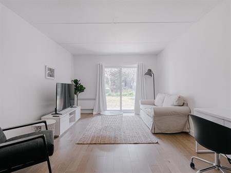 OSEN Appartement 4 ½ à Louer Sainte-Foy / Sillery Juillet 2026