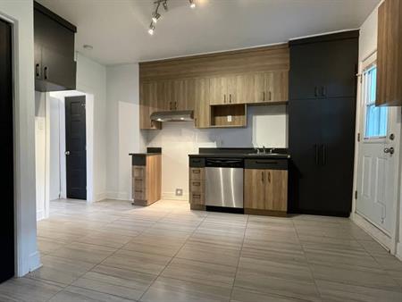 Ville-Marie - 4 1/2 Avec Parking + Cour