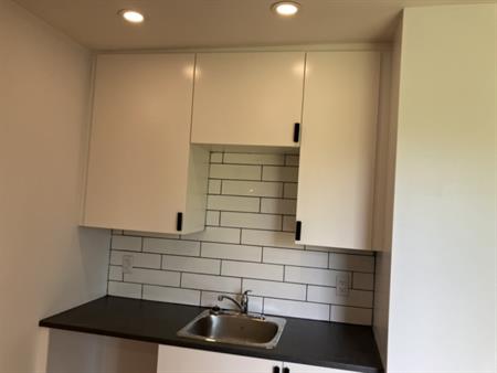 Magnifique Grand Loft Rénové à Montréal