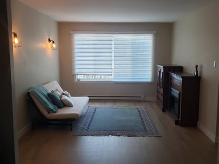 Grand 4-1/2 Renove A LaSalle