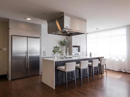 1 Bedroom - 60 Cartier Street, Saint-Lambert