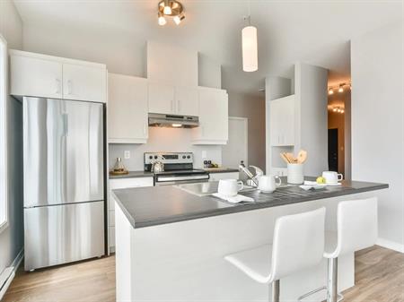 1 Bedroom - 6000 Rue De La Tourbière, Saint-Hubert