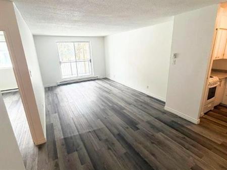 1 CH - 1 SDB - Gatineau - $1,295 /mo