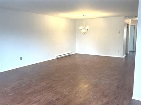 Spacieux Et Tranquille!