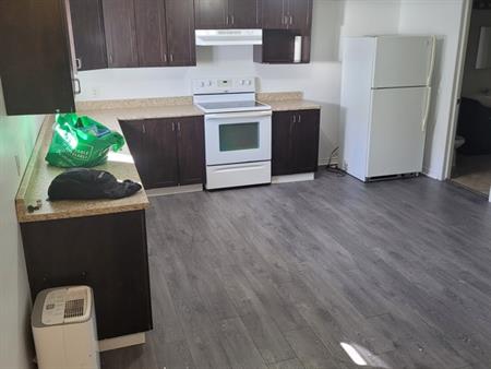 Bel Appartement 3 1/2 (1cc)