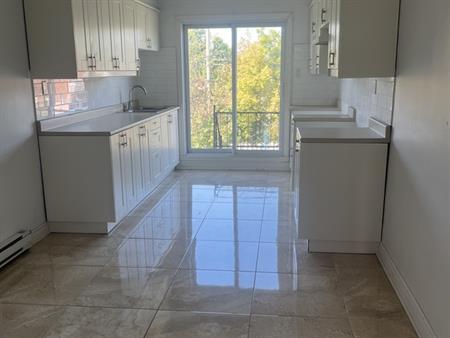 4 1/2 NOUVEAU ROSEMONT- MÉTRO LANGELIER