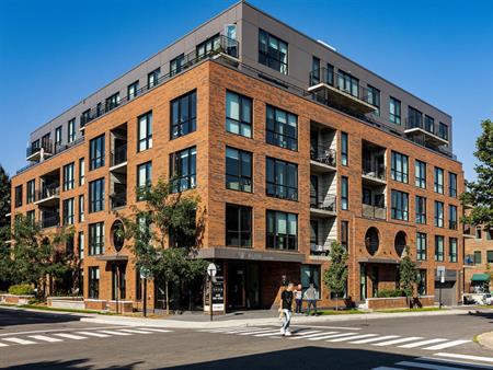 Studio - 230 Rue Dominion, Montréal