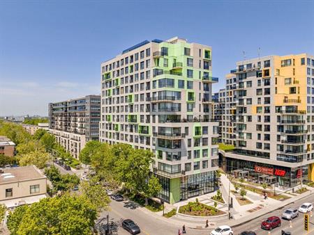 1 Bedroom - 7407 Rue Mountain-Sights, Montréal