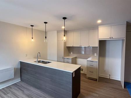 3 CH - 1 SDB - Saint-Hyacinthe - $1,700 /mo