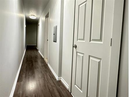 Appartement Montréal (Ville-Marie) À Louer