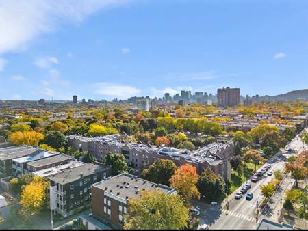 3 ½ Moderne – Plateau