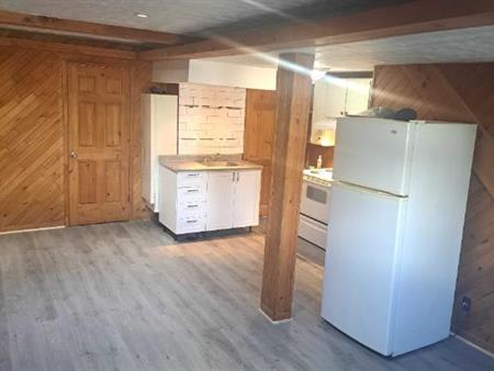 Grand 2 et 1\2 (rénové-tout inclus)