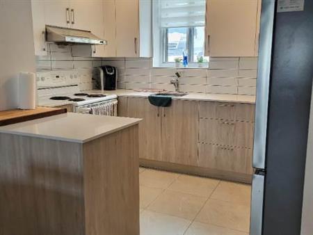 Beau 4.5 rénové à St Janvier